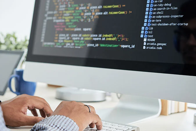 Imagen de DESARROLLO DE SOFTWARE